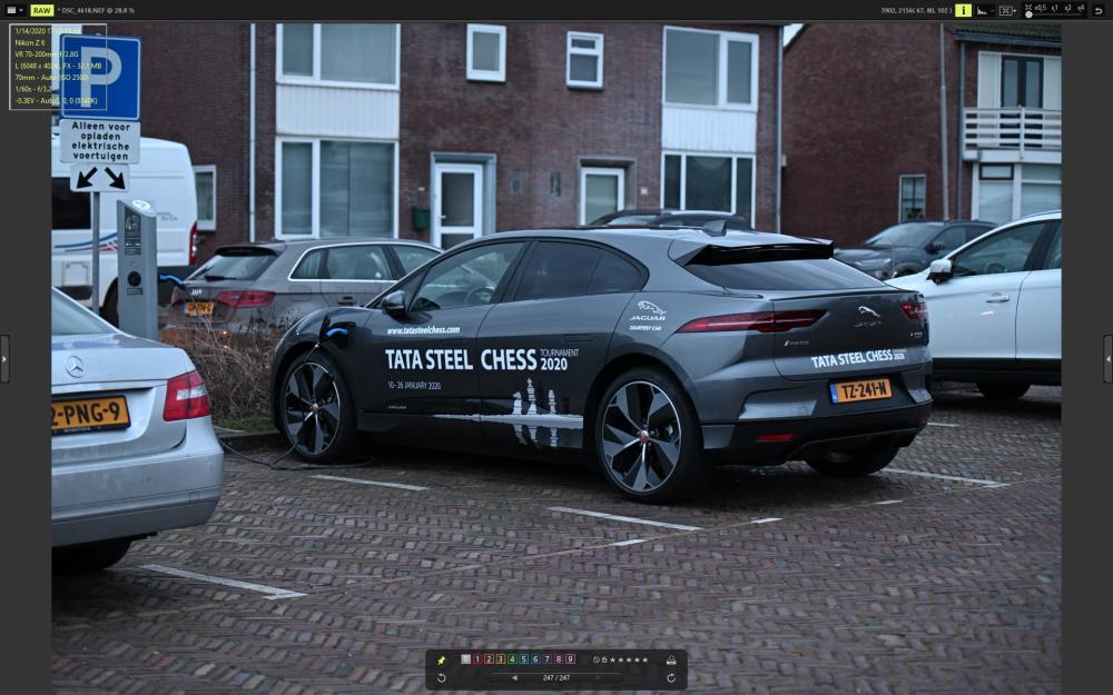 DSC_4618_VX.jpg