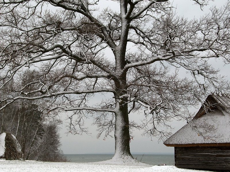 2008Feb01_018_cr.jpg