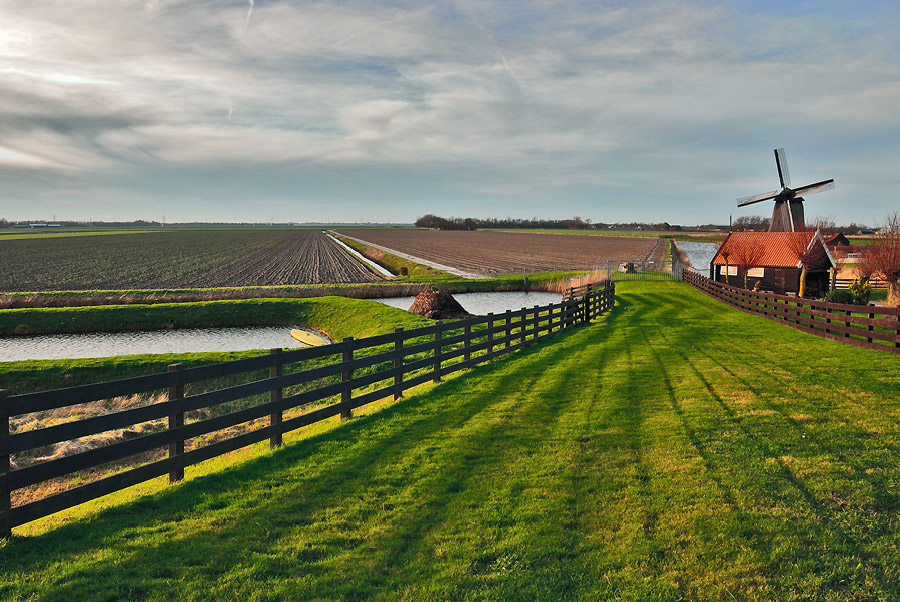 _DSC7237_a250.jpg