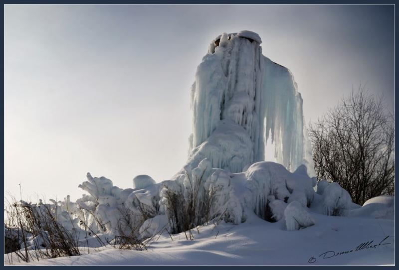 DSC_0026.jpg