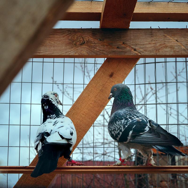 DSC_4218.jpg