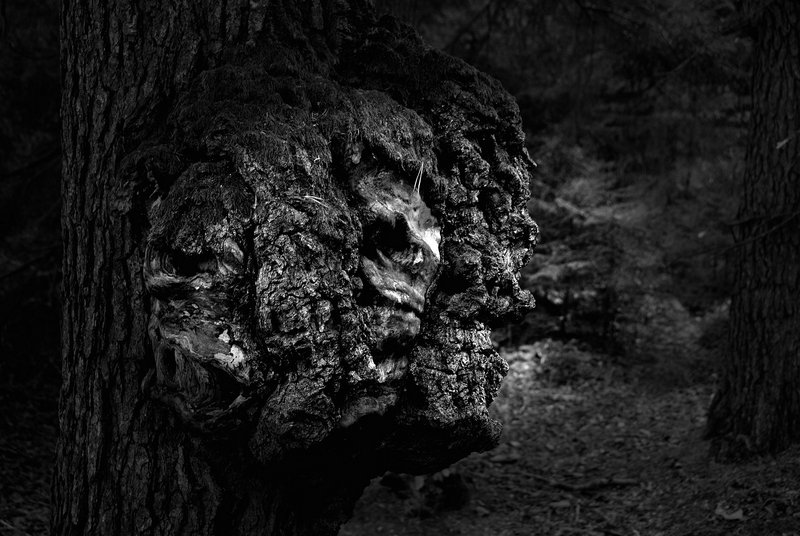 2007Sep08_094BWvin.jpg