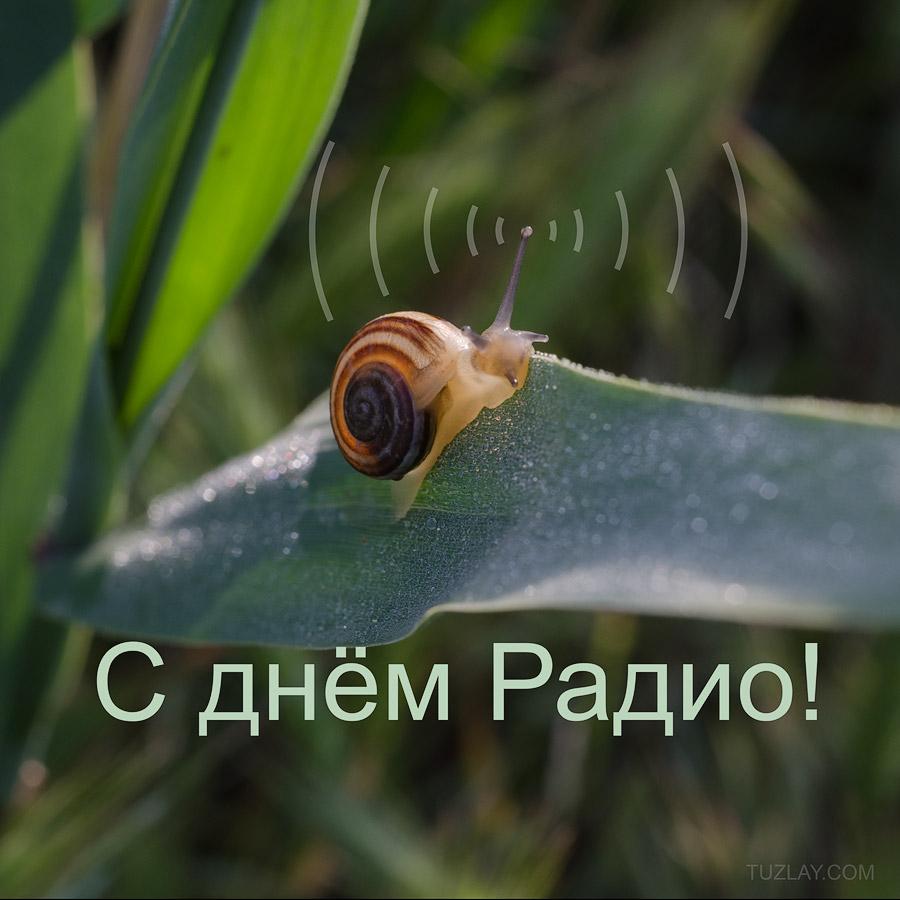 07052020_день_радио.jpg