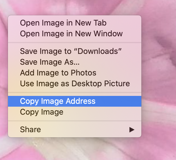 Screenshot 2020-08-11 at 17.46.19.png