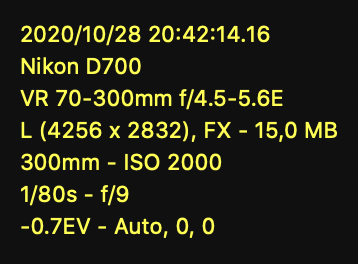 Screenshot 2020-10-28 at 19.42.08.png