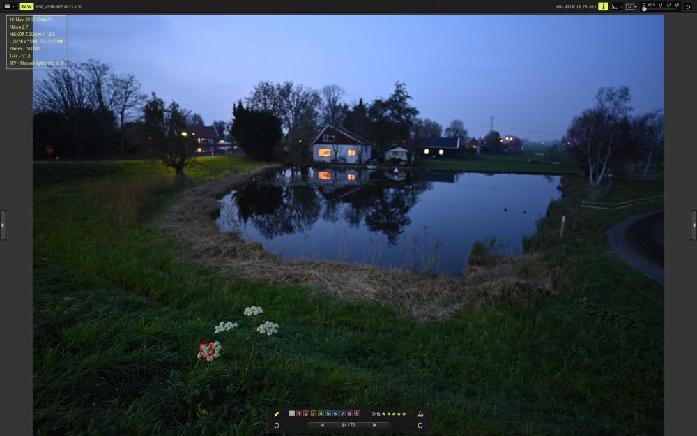 DSC_4938_VX.jpg