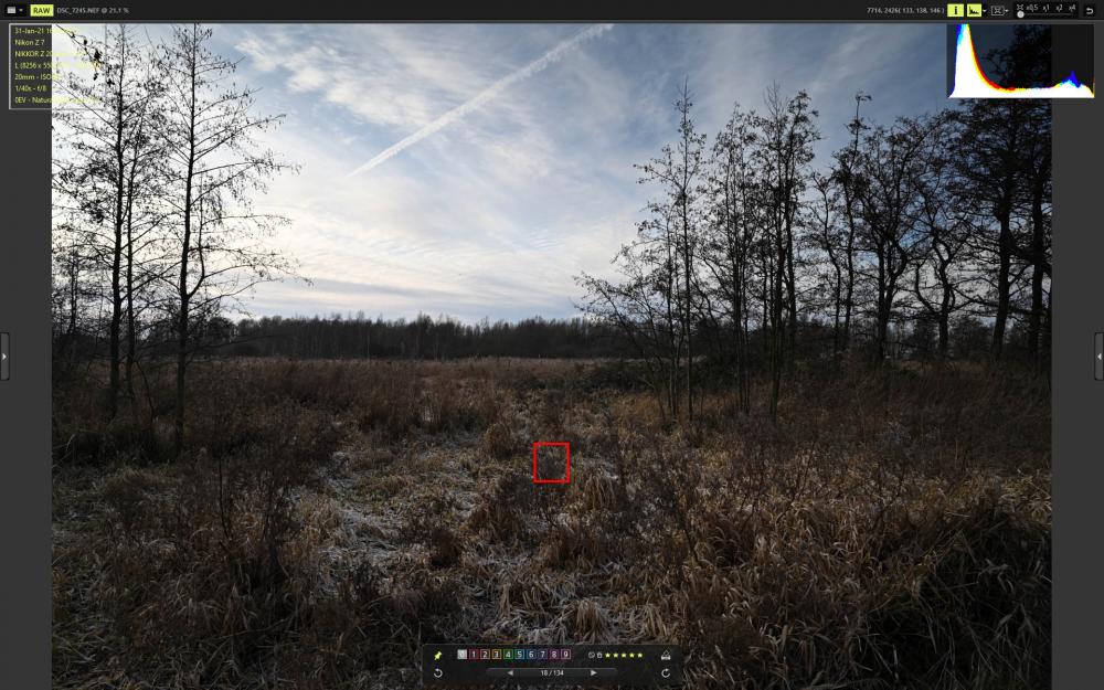 DSC_7245_VX.jpg
