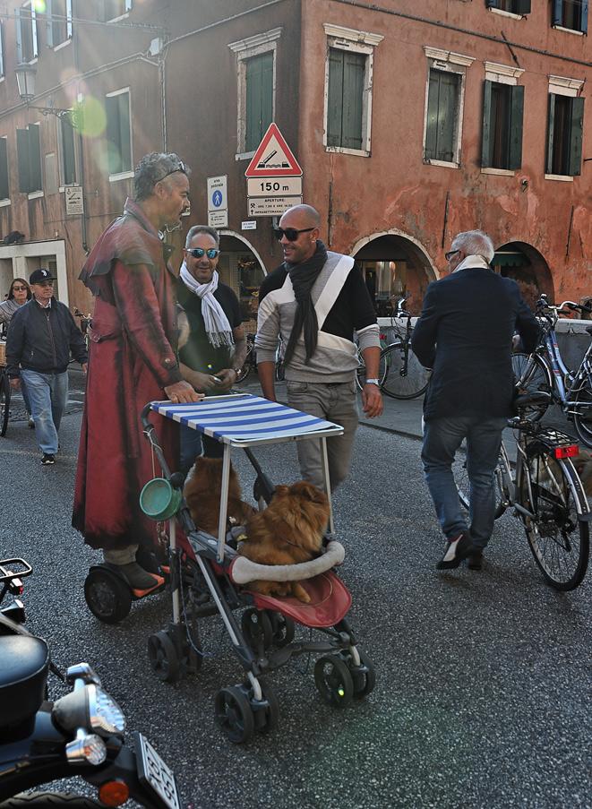 DSC_3997nc.jpg