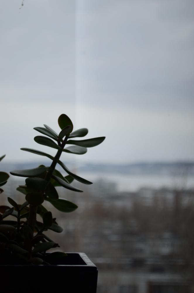 для форума.jpg