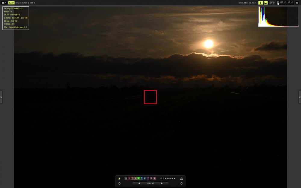 DSC_0310_VX.jpg