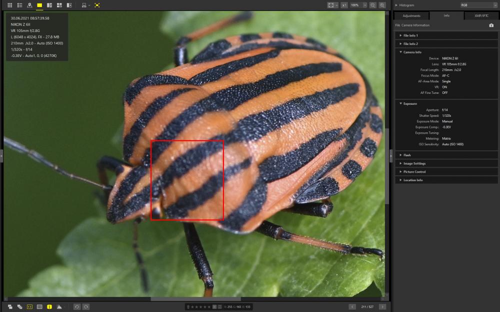 Z6II+AF-S Micro 105G VR+TC20EIII.jpg