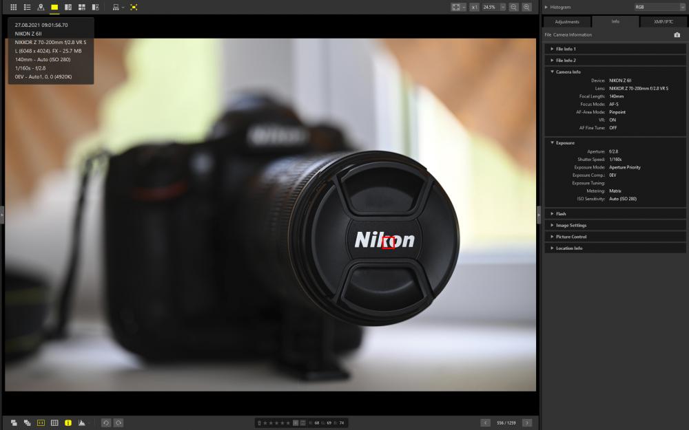 Z 6I + 70-200 S (10).jpg
