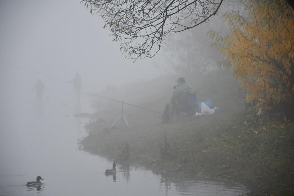 DSC_1237.JPG