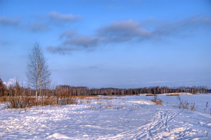 DSC_8299_7_8.jpg