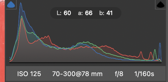 Screenshot 2021-11-02 at 18.38.16.png