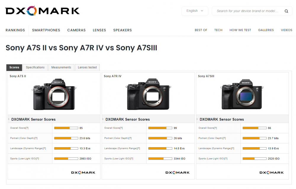 SonyRvsS.jpg