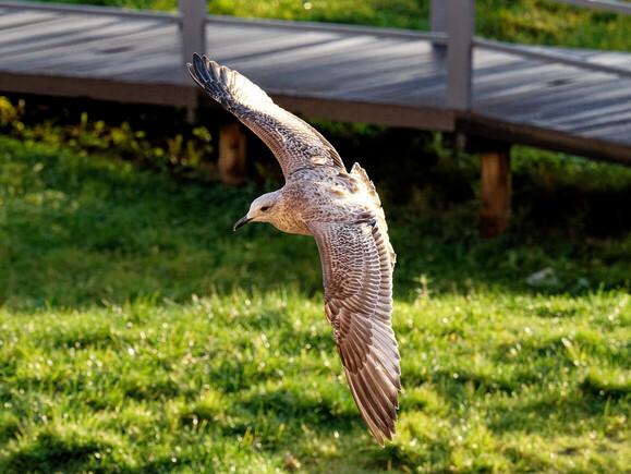 DSC_0128_DxO (1).jpg