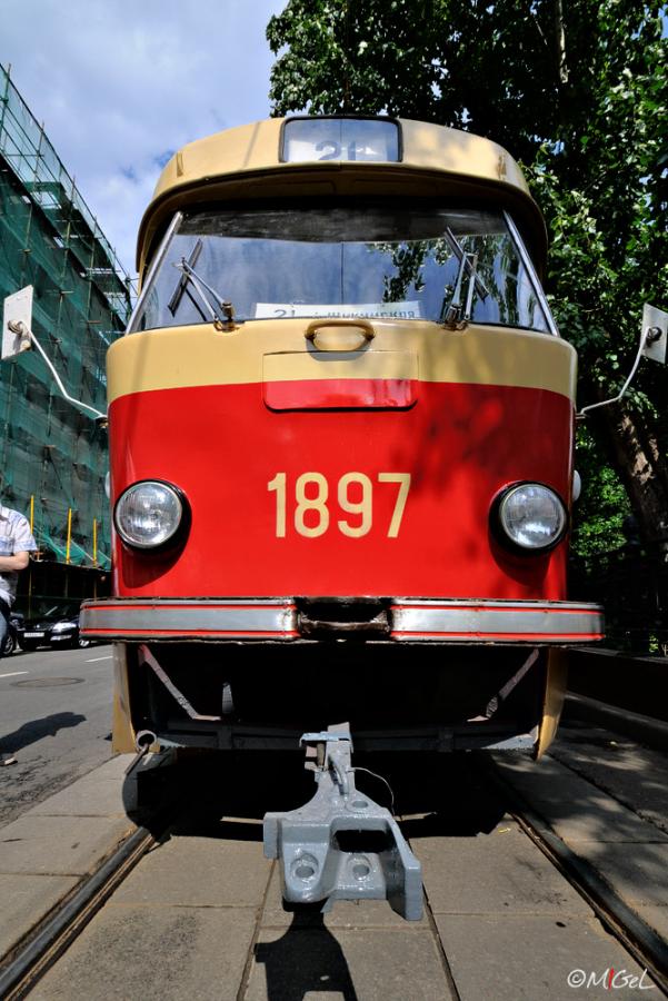 DSC_7136.jpg