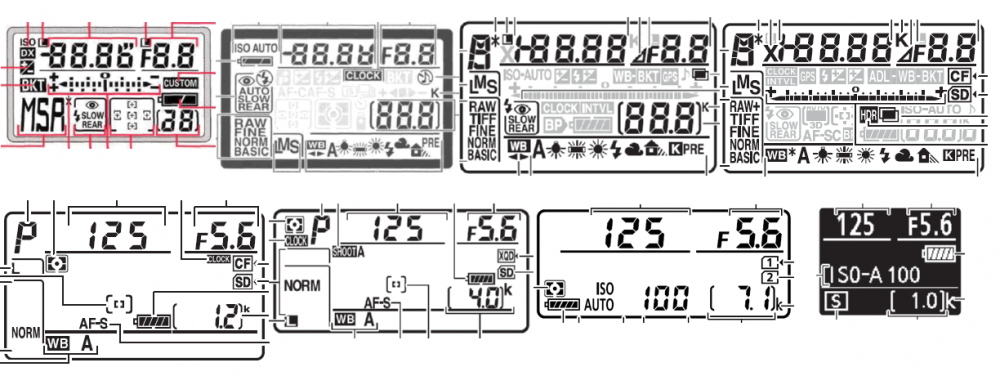 nikon panel1.png