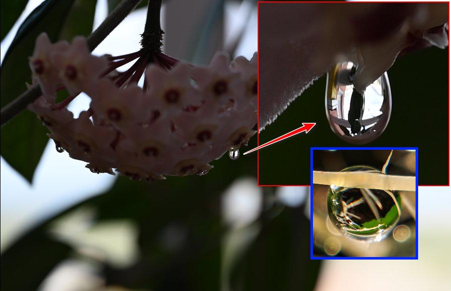macro_compare.jpg