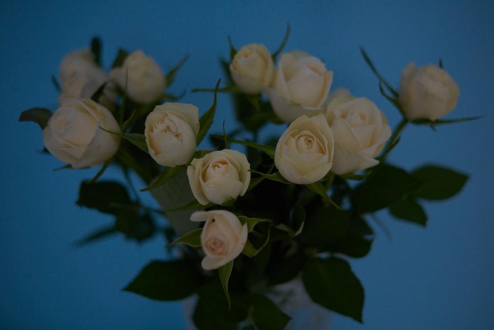 flower02.jpg
