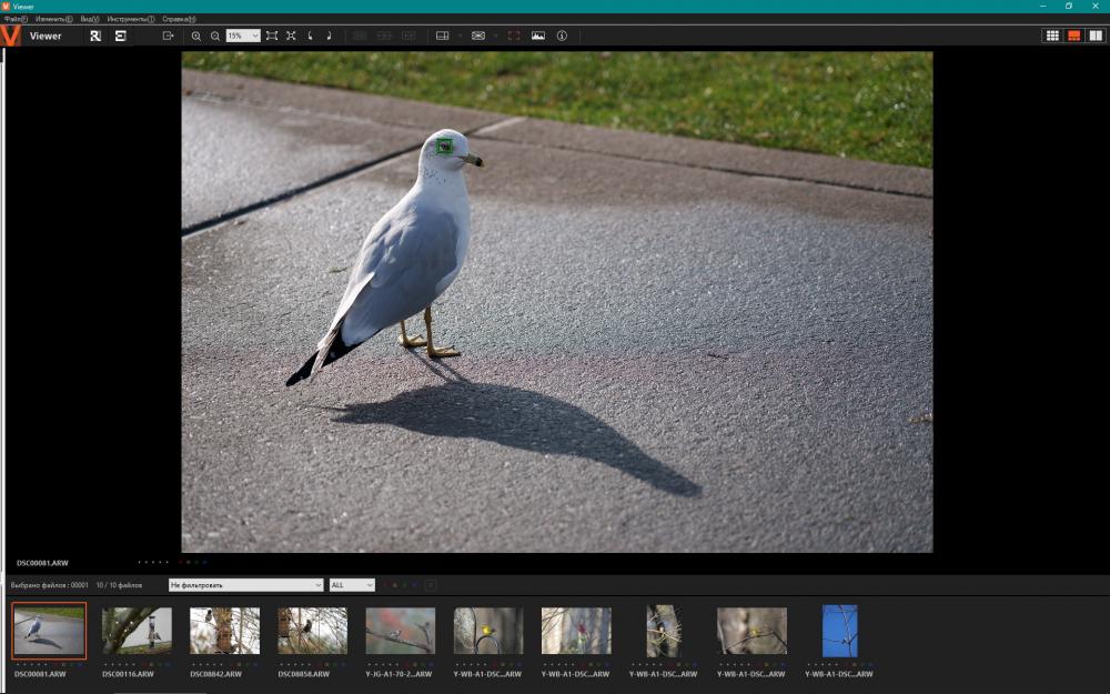 Sony A1_1.jpg