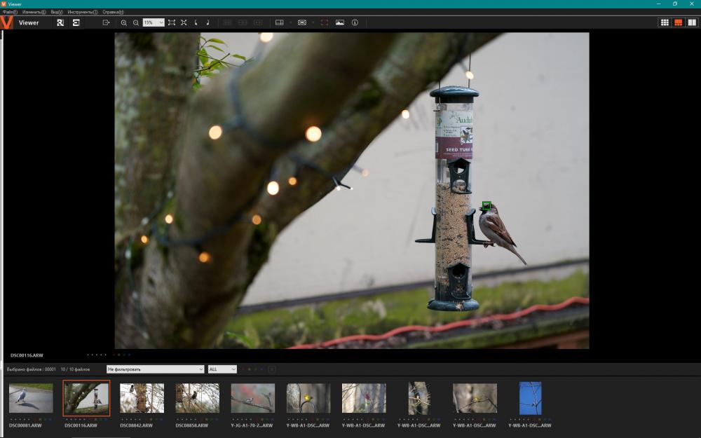 Sony A1_2.jpg