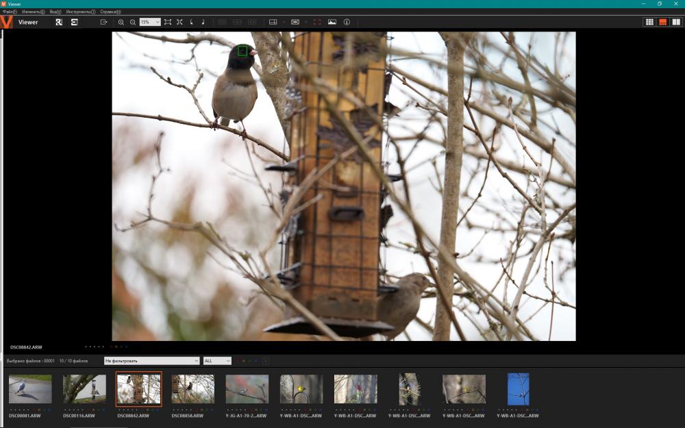 Sony A1_3.jpg