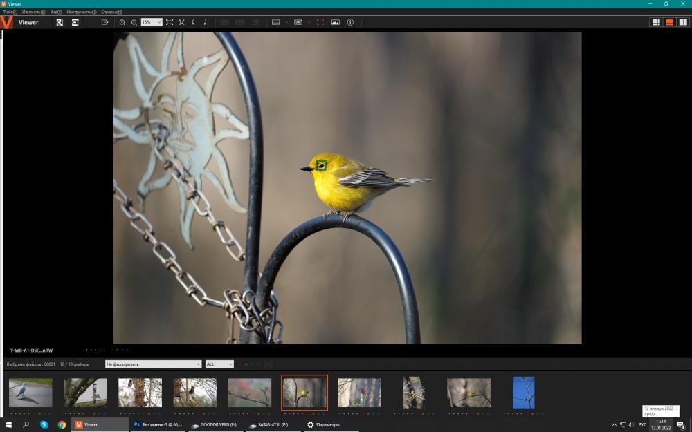 Sony A1_4.jpg
