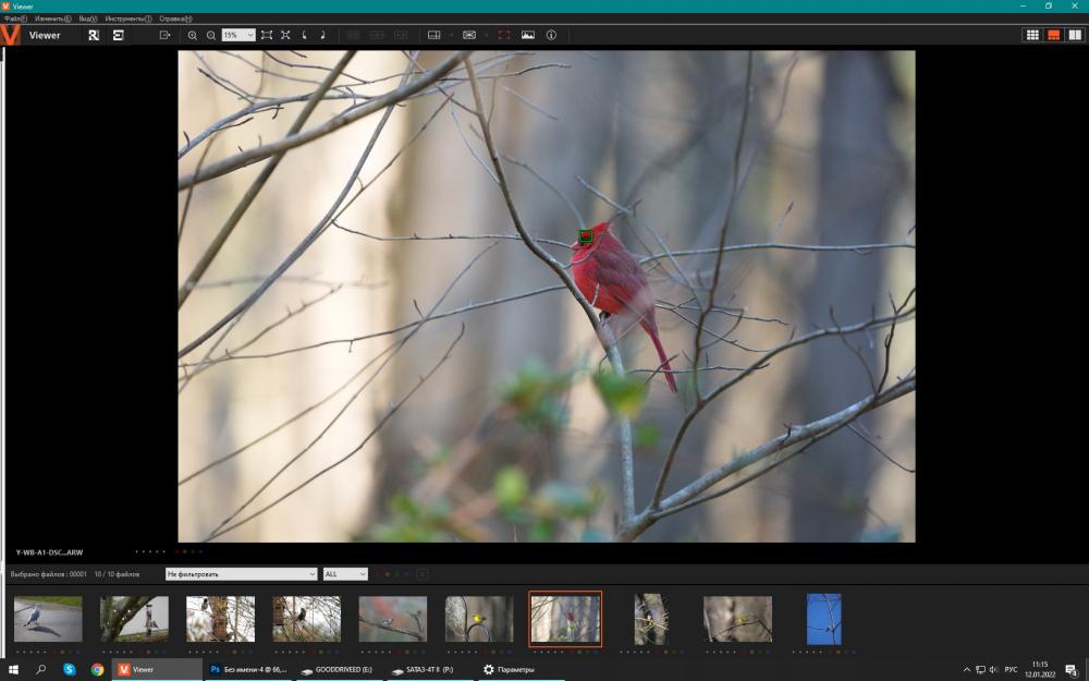 Sony A1_5.jpg