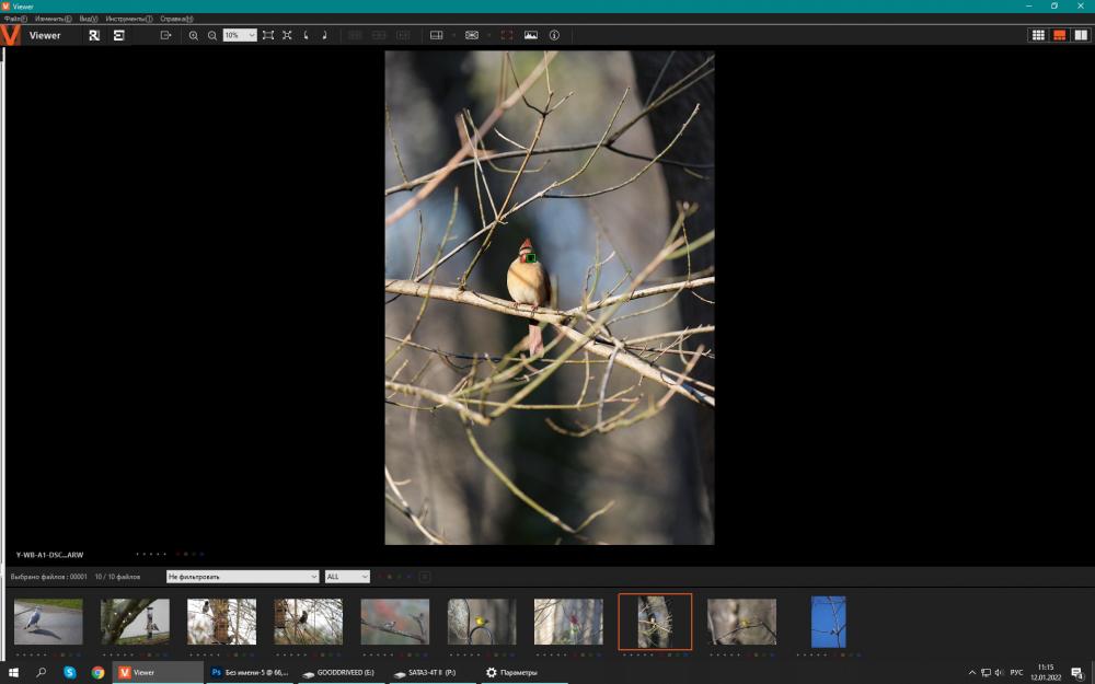 Sony A1_6.jpg