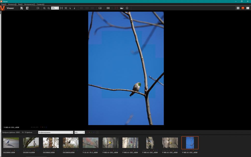 Sony A1_7.jpg