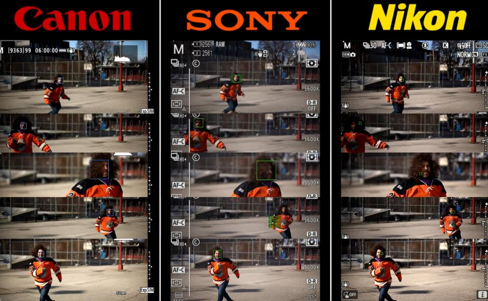 sony014.jpg