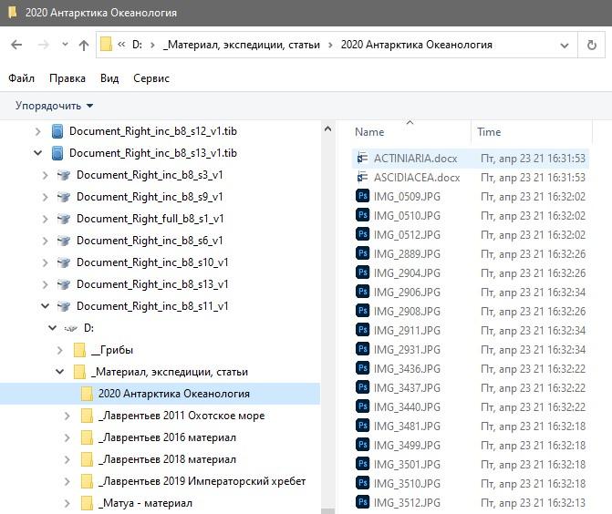 Screenshot_2.jpg
