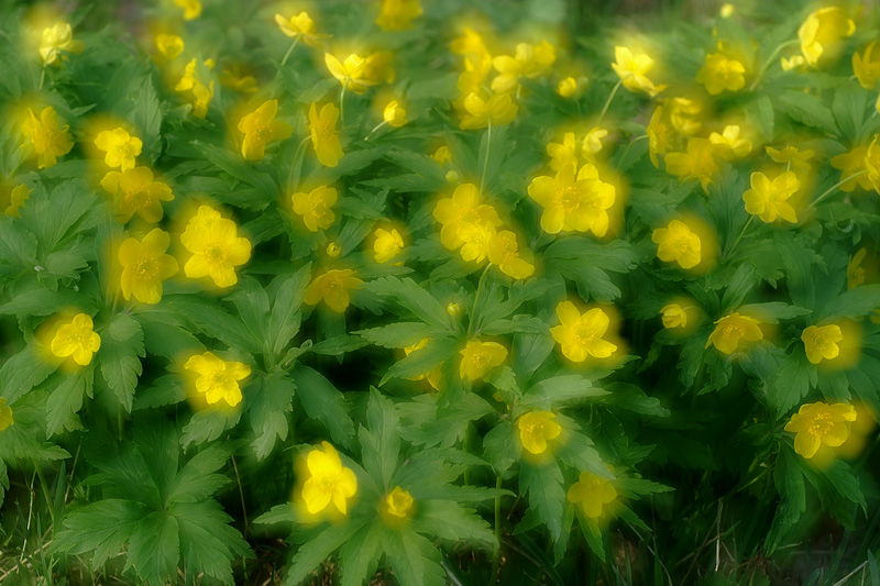 _DSF0170_print_resize.jpg
