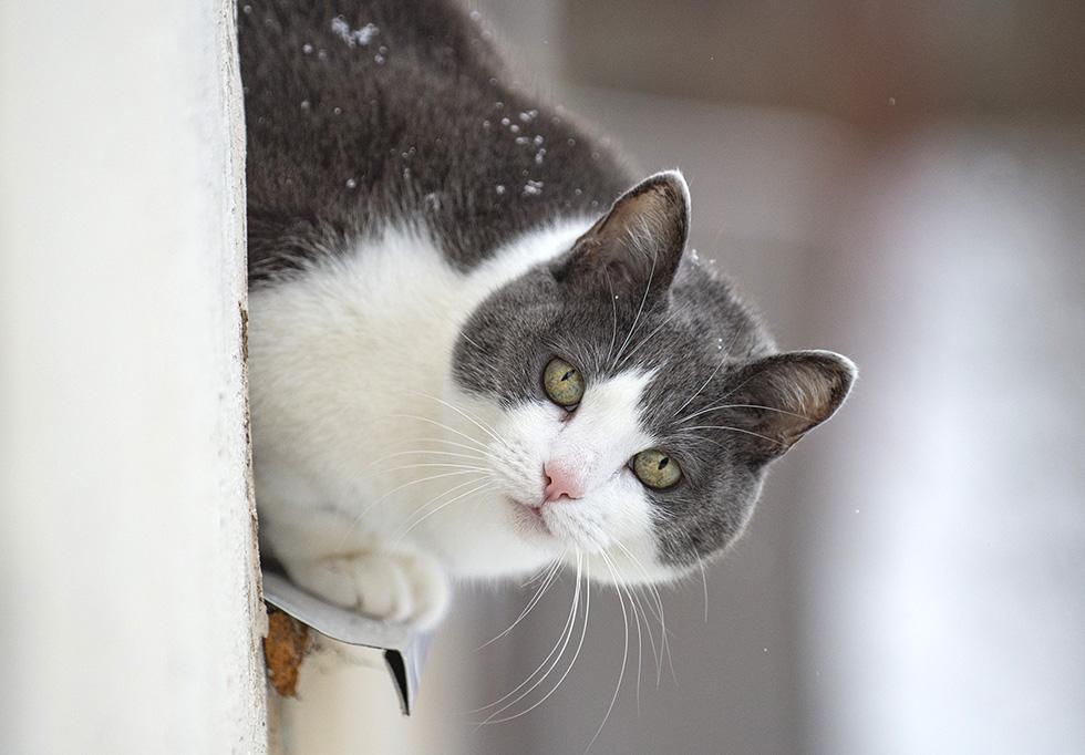 DSC_7539 копия.jpg