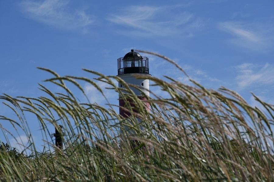 DSC_0672.JPG