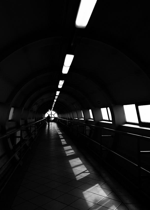 DSC_5915.jpg