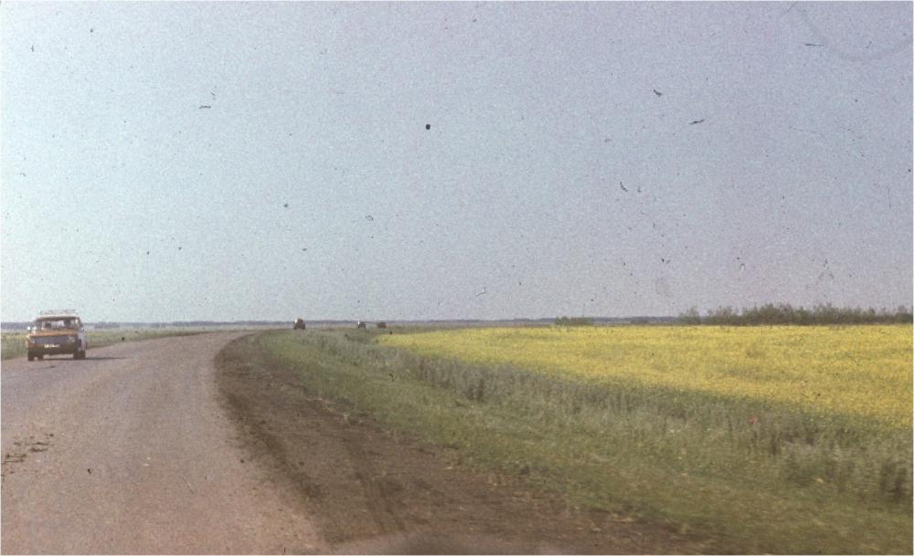 Image1.jpg