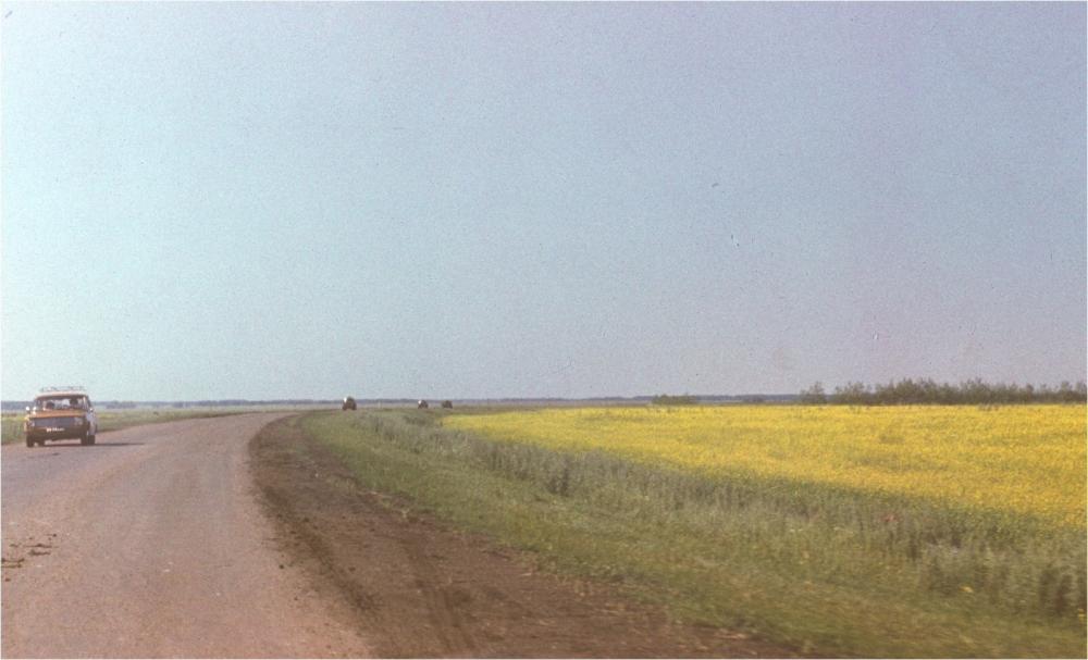 Image2.jpg