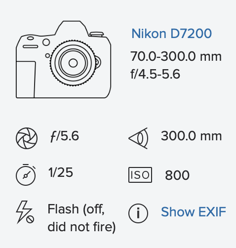 Screenshot 2024-05-26 at 16.21.44.png