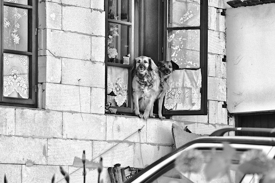 DSC_0209-1 – kopie.JPG