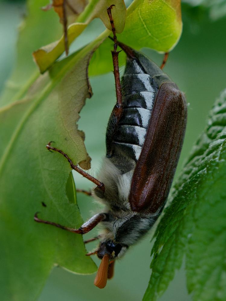 DSC_8909_dxo_cc.jpg
