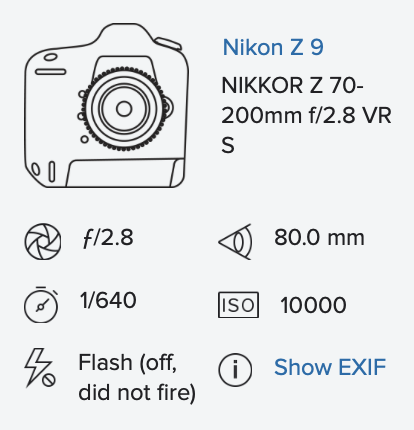 Screenshot 2025-10-04 at 17.51.35.png