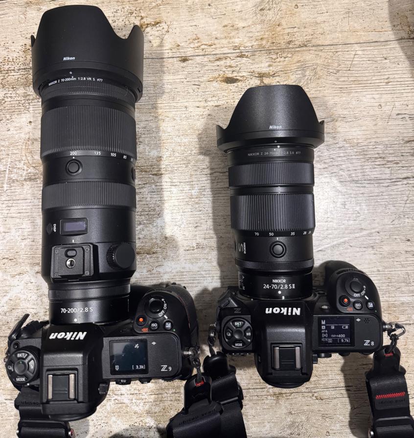 z8-z9.jpg