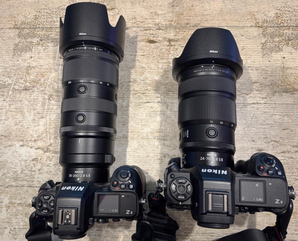 z8-z9.jpg