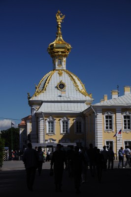 кенко.jpg