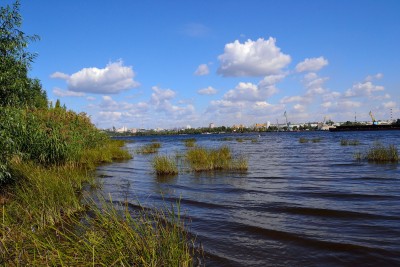 DSC_00451 - копия.JPG