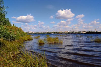 pre_1316403381__dsc_00451_-_C.jpg