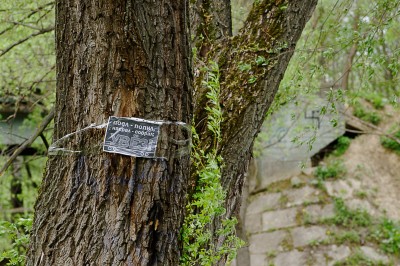 DSC_0554_DxO.jpg